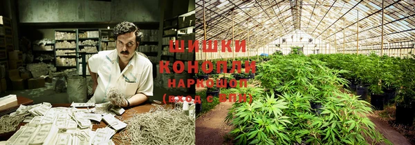 ГАЛЛЮЦИНОГЕННЫЕ ГРИБЫ Абдулино