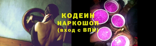 шишки Няндома