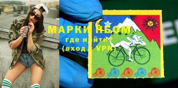 сатива Абинск