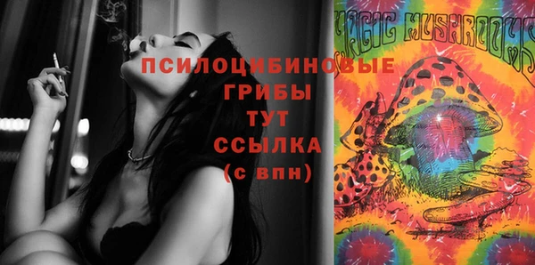 ГАЛЛЮЦИНОГЕННЫЕ ГРИБЫ Абдулино