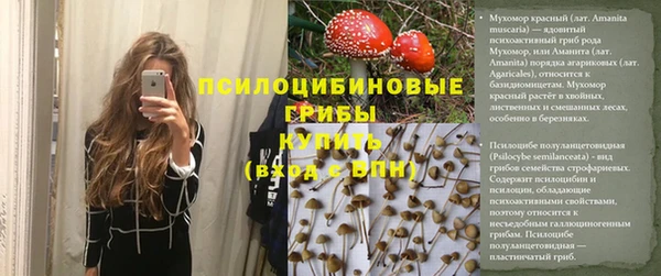 сатива Абинск
