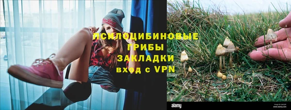 сатива Абинск