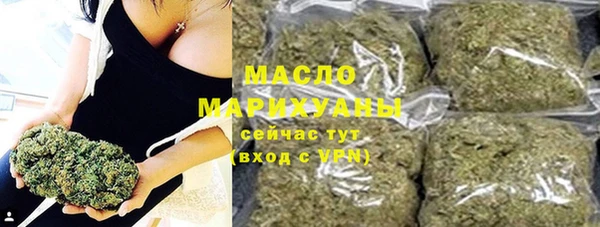 шишки Няндома