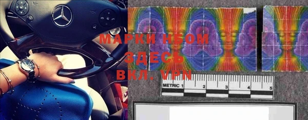 шишки Няндома